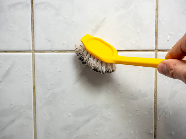Best Certified Mold Removal  in Highland City, FL