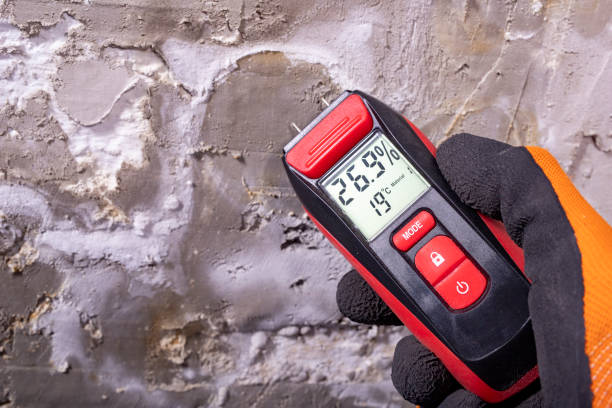 Best Mold Remediation Services  in Highland City, FL