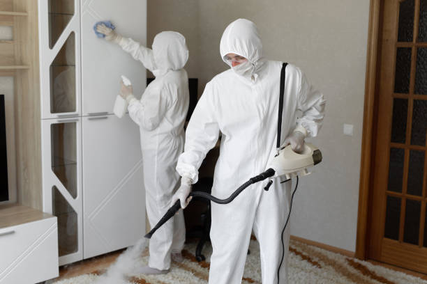 Best Mold Damage Repair  in Highland City, FL